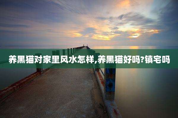 养黑猫对家里风水怎样,养黑猫好吗?镇宅吗