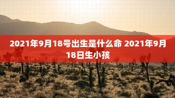 2021年9月18号出生是什么命 2021年9月18日生小孩