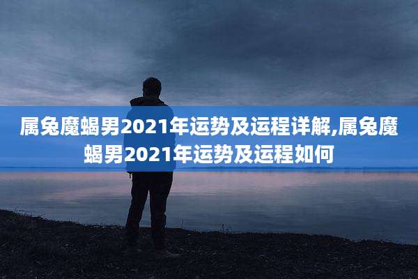 属兔魔蝎男2021年运势及运程详解,属兔魔蝎男2021年运势及运程如何