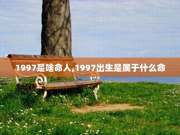 1997是啥命人,1997出生是属于什么命