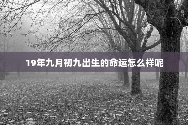 19年九月初九出生的命运怎么样呢