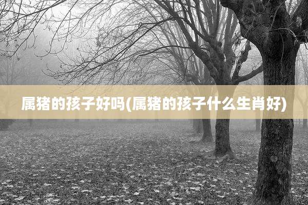 属猪的孩子好吗(属猪的孩子什么生肖好)