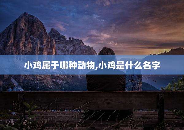 小鸡属于哪种动物,小鸡是什么名字