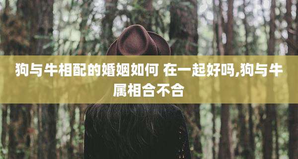 狗与牛相配的婚姻如何 在一起好吗,狗与牛属相合不合