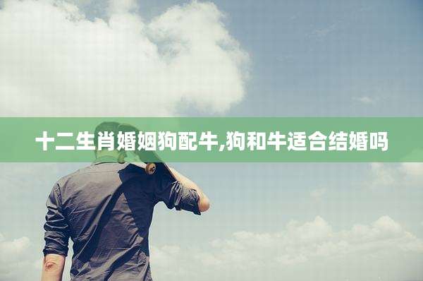 十二生肖婚姻狗配牛,狗和牛适合结婚吗