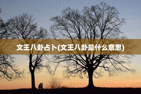 文王八卦占卜(文王八卦是什么意思)