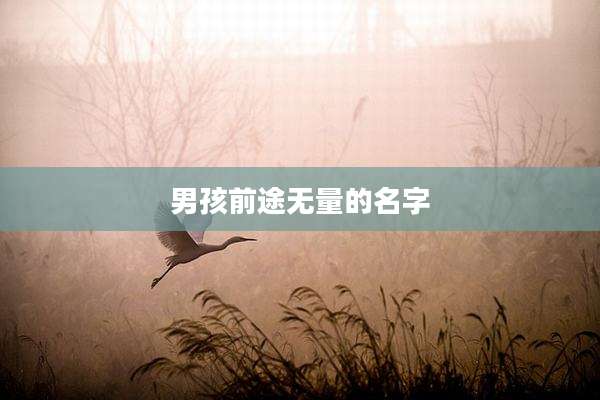 男孩前途无量的名字