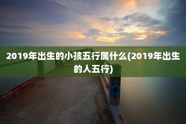 2019年出生的小孩五行属什么(2019年出生的人五行)