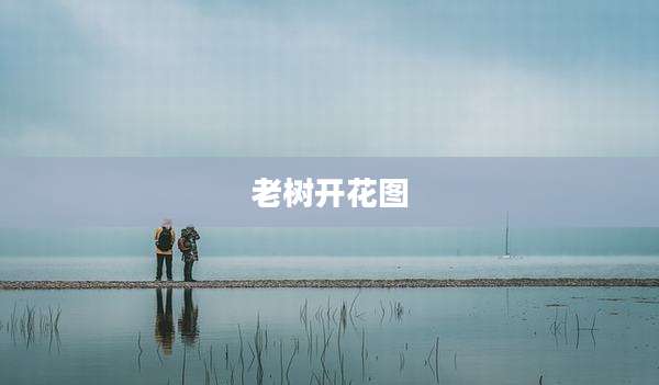 老树开花图