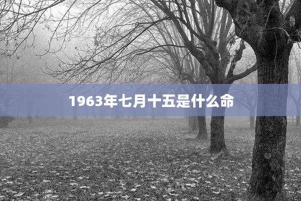 1963年七月十五是什么命