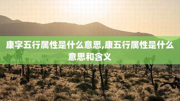 康字五行属性是什么意思,康五行属性是什么意思和含义