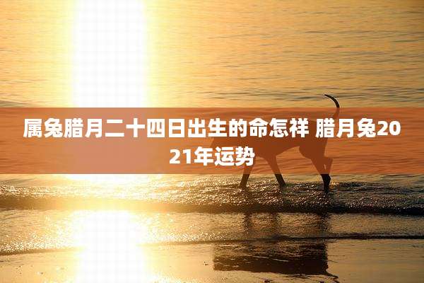 属兔腊月二十四日出生的命怎祥 腊月兔2021年运势