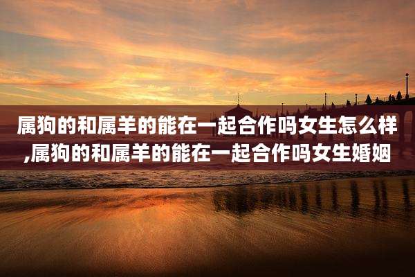 属狗的和属羊的能在一起合作吗女生怎么样,属狗的和属羊的能在一起合作吗女生婚姻