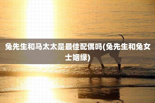 兔先生和马太太是最佳配偶吗(兔先生和兔女士姻缘)