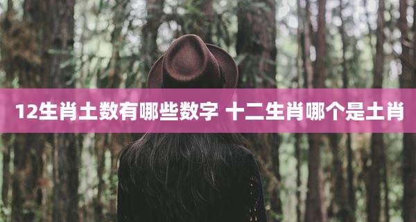 12生肖土数有哪些数字 十二生肖哪个是土肖