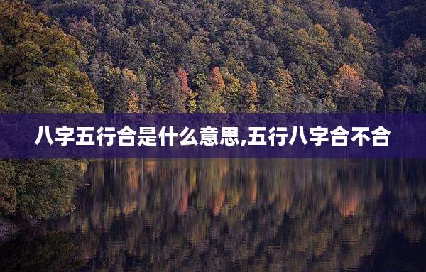 八字五行合是什么意思,五行八字合不合