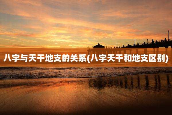 八字与天干地支的关系(八字天干和地支区别)