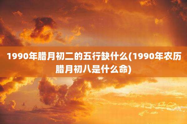 1990年腊月初二的五行缺什么(1990年农历腊月初八是什么命)