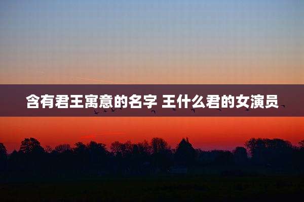 含有君王寓意的名字 王什么君的女演员