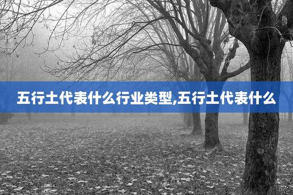 五行土代表什么行业类型,五行土代表什么