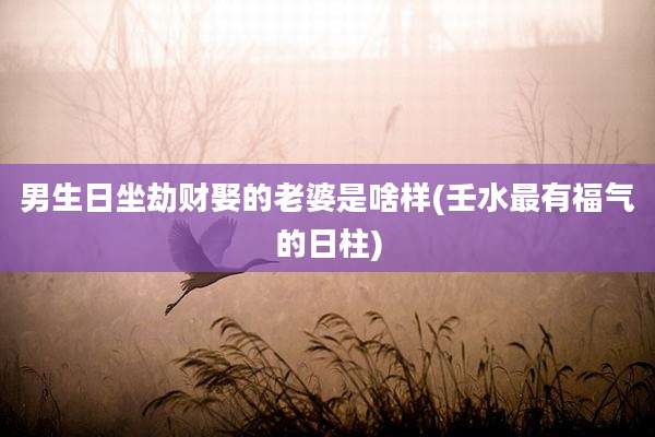 男生日坐劫财娶的老婆是啥样(壬水最有福气的日柱)