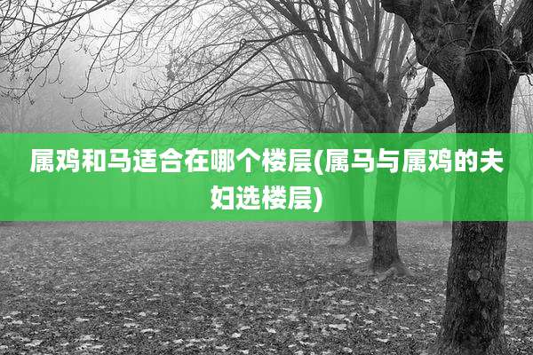属鸡和马适合在哪个楼层(属马与属鸡的夫妇选楼层)