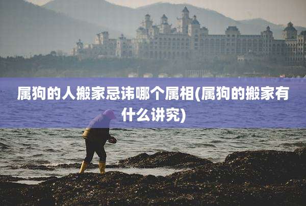 属狗的人搬家忌讳哪个属相(属狗的搬家有什么讲究)