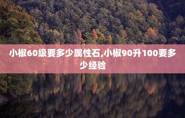 小椒60级要多少属性石,小椒90升100要多少经验