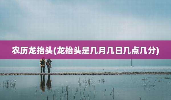 农历龙抬头(龙抬头是几月几日几点几分)