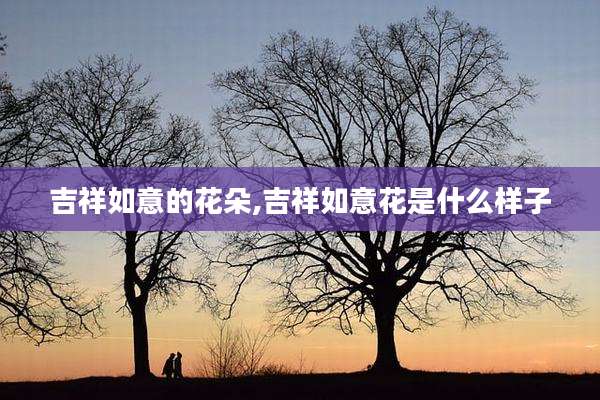 吉祥如意的花朵,吉祥如意花是什么样子