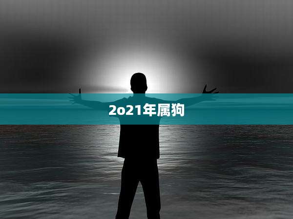 2o21年属狗