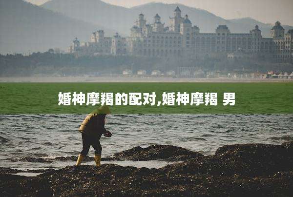 婚神摩羯的配对,婚神摩羯 男