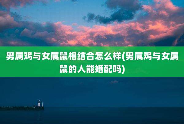 男属鸡与女属鼠相结合怎么样(男属鸡与女属鼠的人能婚配吗)