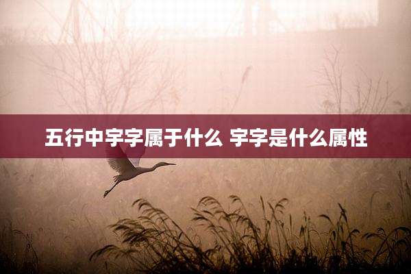 五行中宇字属于什么 宇字是什么属性