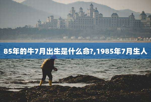 85年的牛7月出生是什么命?,1985年7月生人