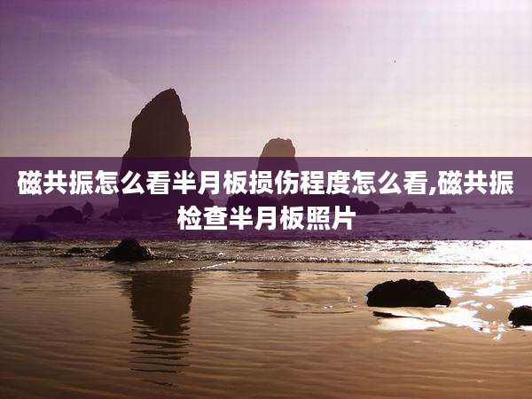 磁共振怎么看半月板损伤程度怎么看,磁共振检查半月板照片