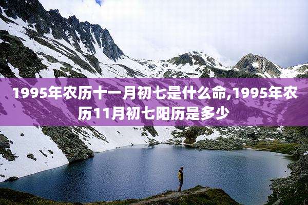 1995年农历十一月初七是什么命,1995年农历11月初七阳历是多少