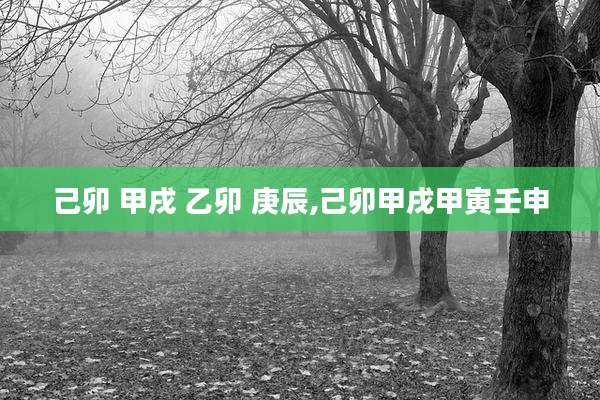 己卯 甲戌 乙卯 庚辰,己卯甲戌甲寅壬申
