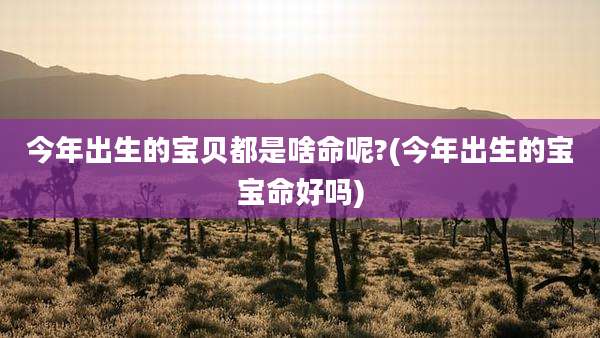 今年出生的宝贝都是啥命呢?(今年出生的宝宝命好吗)