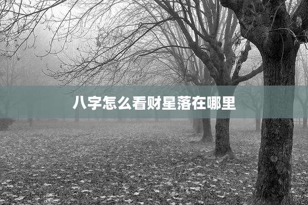 八字怎么看财星落在哪里