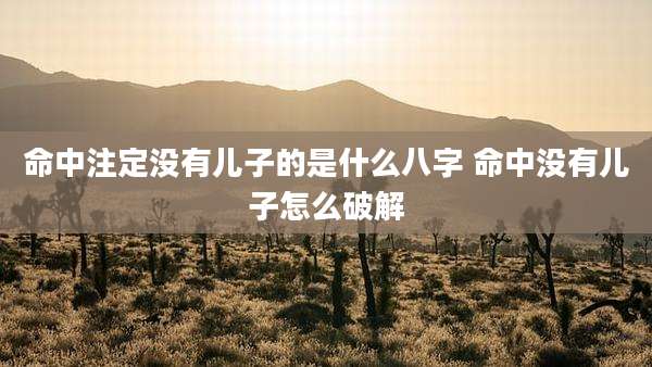 命中注定没有儿子的是什么八字 命中没有儿子怎么破解