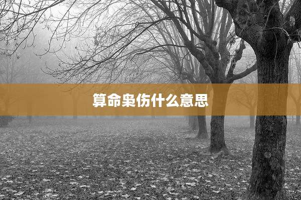 算命枭伤什么意思