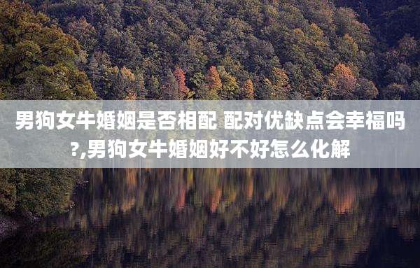 男狗女牛婚姻是否相配 配对优缺点会幸福吗?,男狗女牛婚姻好不好怎么化解