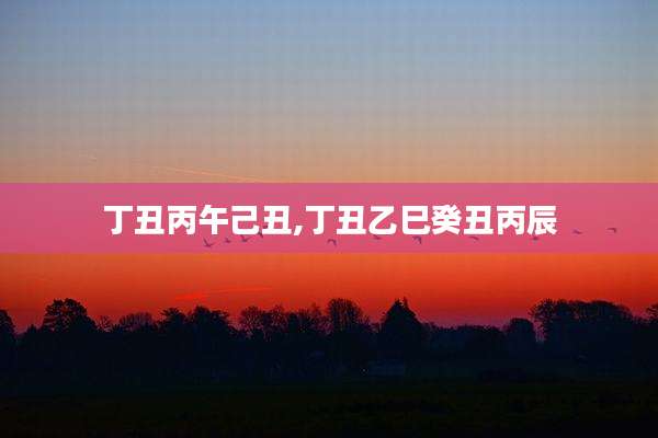 丁丑丙午己丑,丁丑乙巳癸丑丙辰
