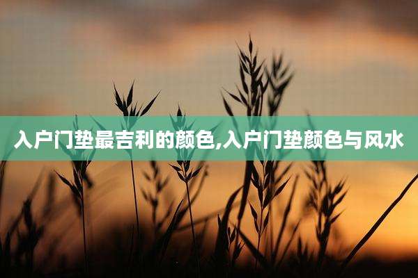 入户门垫最吉利的颜色,入户门垫颜色与风水
