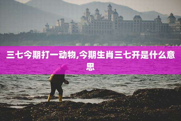 三七今期打一动物,今期生肖三七开是什么意思