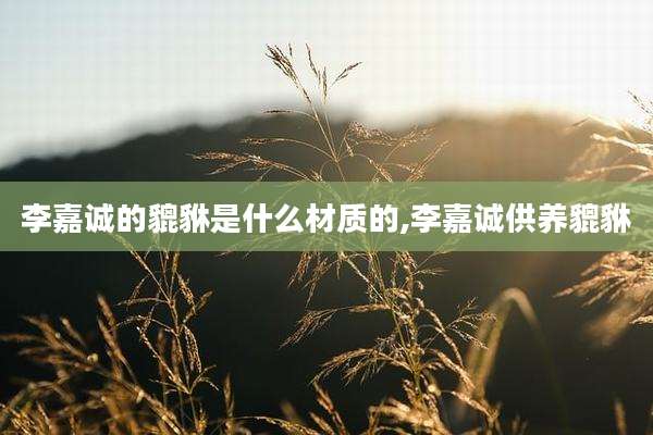 李嘉诚的貔貅是什么材质的,李嘉诚供养貔貅