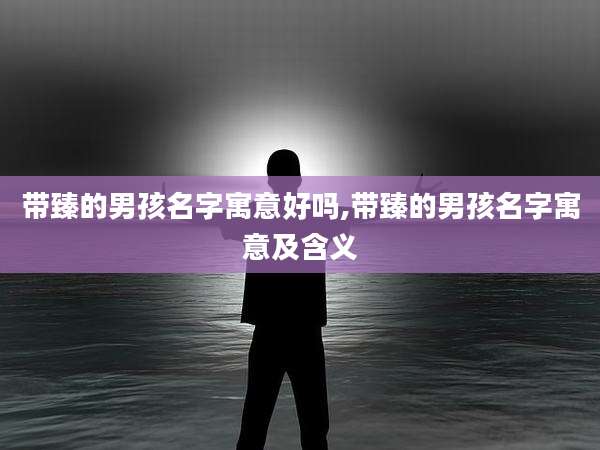 带臻的男孩名字寓意好吗,带臻的男孩名字寓意及含义