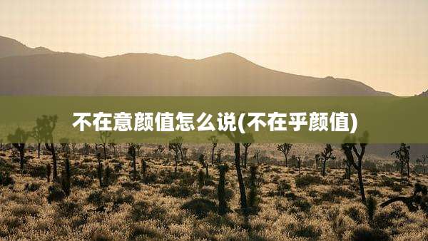 不在意颜值怎么说(不在乎颜值)