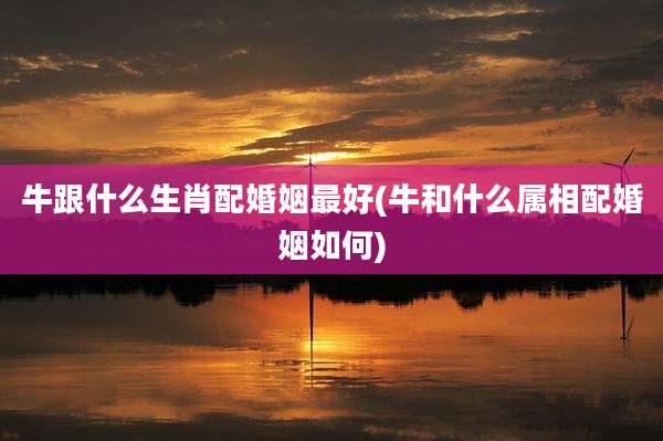 牛跟什么生肖配婚姻最好(牛和什么属相配婚姻如何)